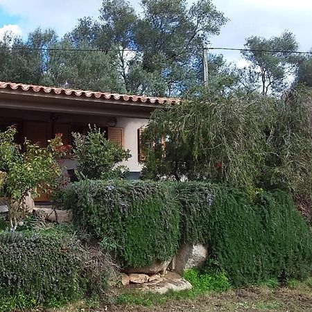 Casa-Lesia Villa Porto-Vecchio  Exteriör bild