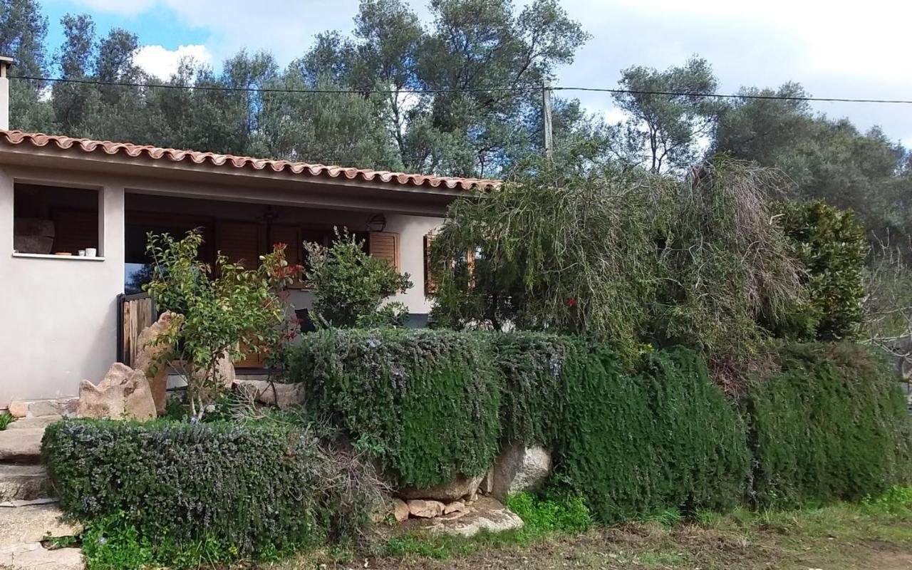 Casa-Lesia Villa Porto-Vecchio  Exteriör bild